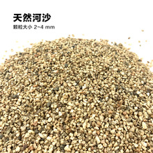 鱼缸底砂造景底沙乌龟河沙沙白沙子雨林沙原生缸溪流砂铁胆沙