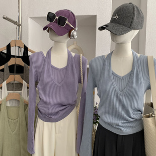 �W���R 2026�紺�첱�U���OӋ�كɼ�ᘿ������L�伃���L���� 6269