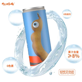 其他果干蜜饯;食品饮料加工;苏打水/气泡水