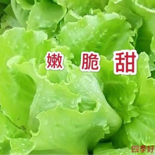 �ļ��������˷N��һ���ļ��N���߲˷N�������̨�����������r�N��