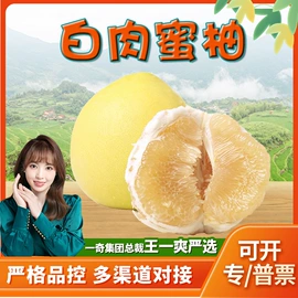 代用/养生茶;苹果;橙