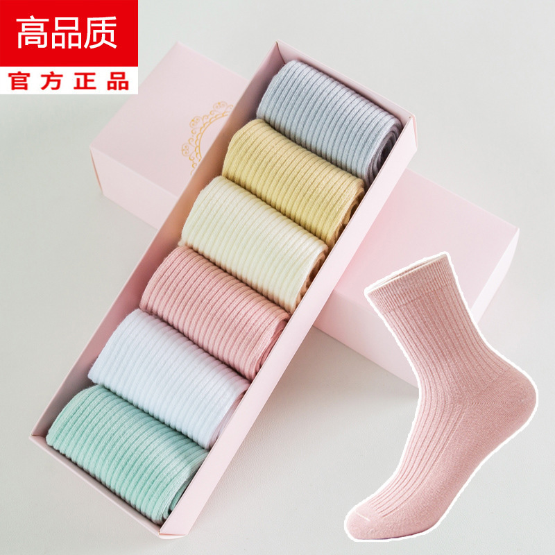 미드 튜브 핀스트라이프 [색상]