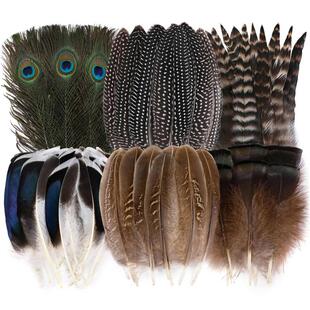 M 62316 Amazon Hot Selling Pheasant Feathers ����C���J��β