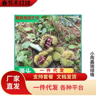 �����Ԯa���N������޽Ӵ�t�۰�������r���ϱ����Nֲ������