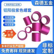 铝阳极紫色螺套带孔M3M12保护套304不锈钢自攻带孔螺纹订做插销