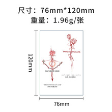 �羳�¿� ����ָ���i����������ϵ�в�ɫ�y���NŮ����ˮ�־�ins�L