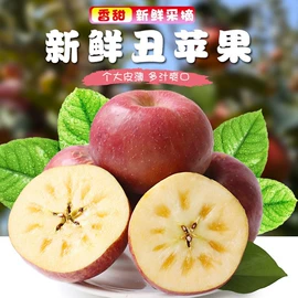 枇杷;柑桔;石榴