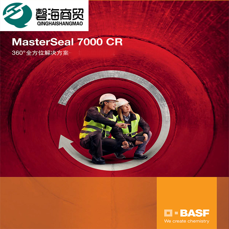巴斯夫 MasterSeal 7000  污水处理池 下水道