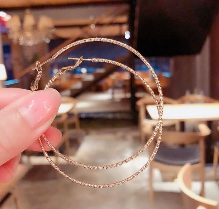 Silver 925 Earrings — Light Luxury Hoops & Drops, High-Quality Sterling, Multiple Sizes