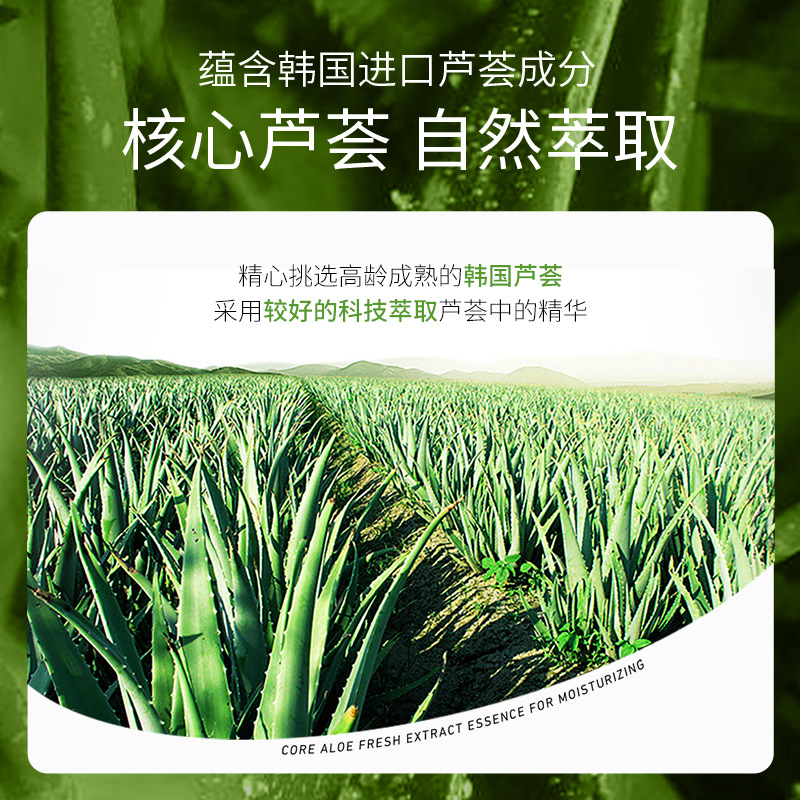 Boquanya aloe hidratante y suave esencia crema hidratante rejuvenecimiento de la piel crema de la piel al por mayor