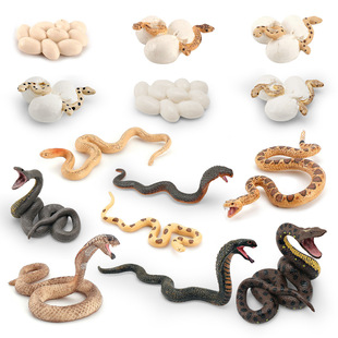 �羳���涾�߳��L����ģ�̓�ͯ�J֪�������R��ɳ������׃�Q�[��