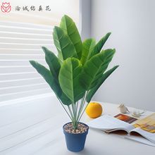 �羳�����҃��辰�Ž��٘����˽����Ԙ�Gֲ�����B�߷���[���ٻ�