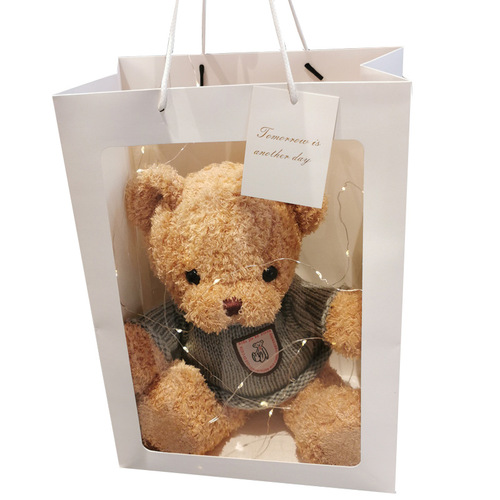 Direct Manufacturer Sale Sweatshirt Teddy Bear Sweatshirt Plush Toy Teddy Bear Dress Up Teddy Bear Plush Toy Activity Gift Wholesale Logo