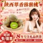 陕西新鲜70-90g奇异果