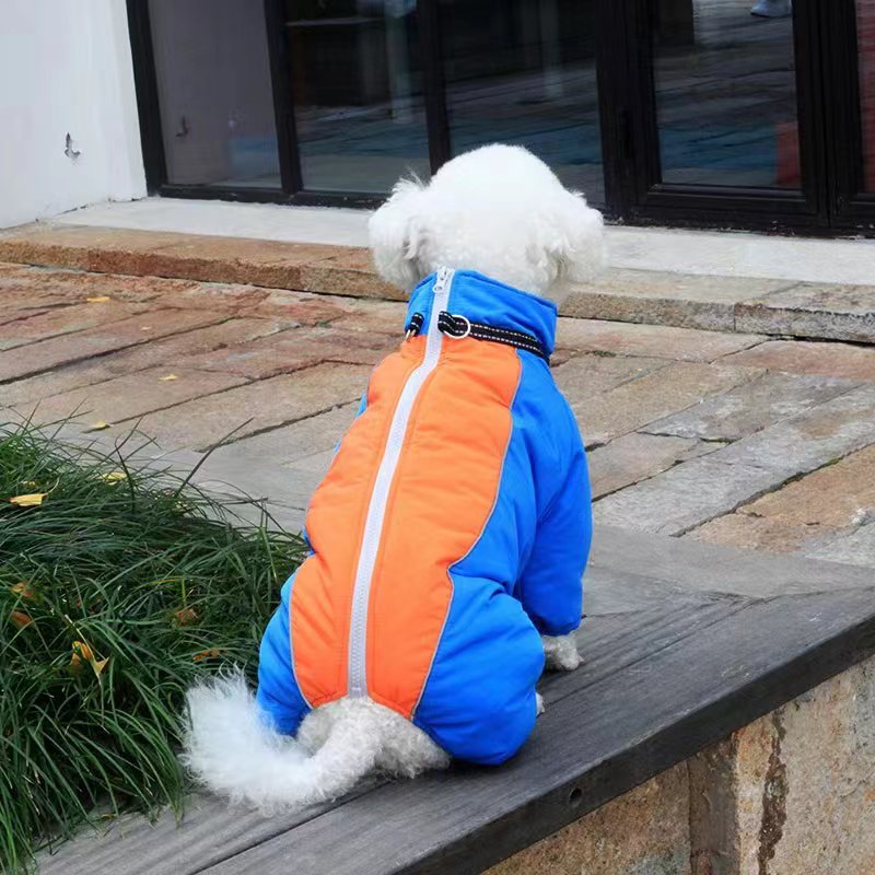 微信图片_20221017100030