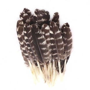 �S�����lС��ֱ��10-15cmС��ëdiy�OӋ�Ʒ�^��h���