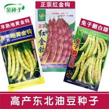 ShͶǷNӴ＾|S𹴼ܶܿNļ߲˷N