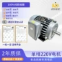 卧式立式单相60hz电动机
