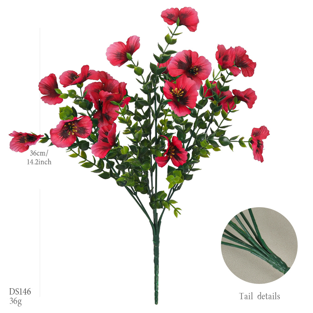 DS146-로즈 레드 스프링 팬지