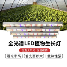 �羳���ʰ�צ�~LEDȫ���Vֲ��� ����ֲ����a���Grow light