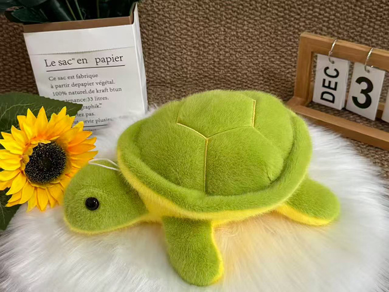 Turtle