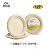 일회용 접시 - 7inch (10개 팩)