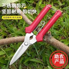 늹������h���~���FƤ���I�ø�Ӳ�Ȳ��P���֦�����ò�ժ����