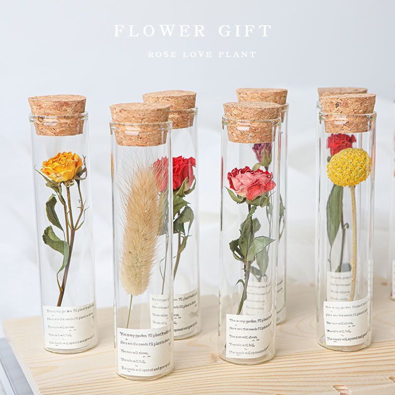 Give You ASmall Red Flower Glass Test Tube Dried Bouquet Eternal Ing Bottle Specimen Wedding Graduation Birthday Birthday Gift