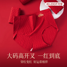 ���\��ѝŮ�����������������ѝ�^���L�d͸���H�w�t��ѝ9643-1