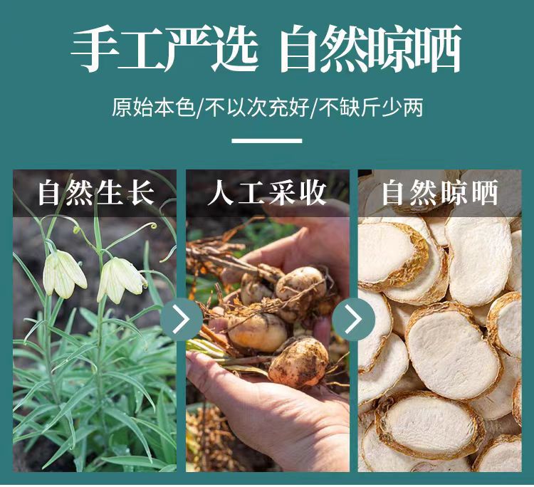 Zhe Bei Mu Slices (Fritillaria thunbergii) — Dried 500g Herbal Decoction Pieces key features