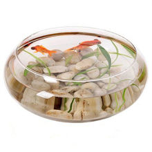 水培玻璃花瓶透明碗莲荷花铜钱草盆缸养睡莲盆缸碗莲盆铁树专用盆