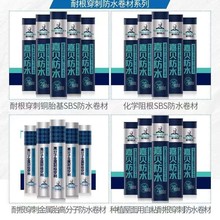 ͸̷ˮķNֲ܇픰a©S͕񿹕