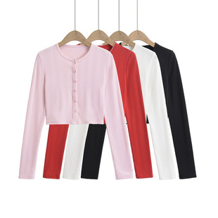 DS24118-24�ļ��¿�  �W���L�����������A�I�L�����e�̿�ᘿ��_��