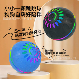 �羳���܏����������␞��������Ȯ�≺������Ʒ�����������