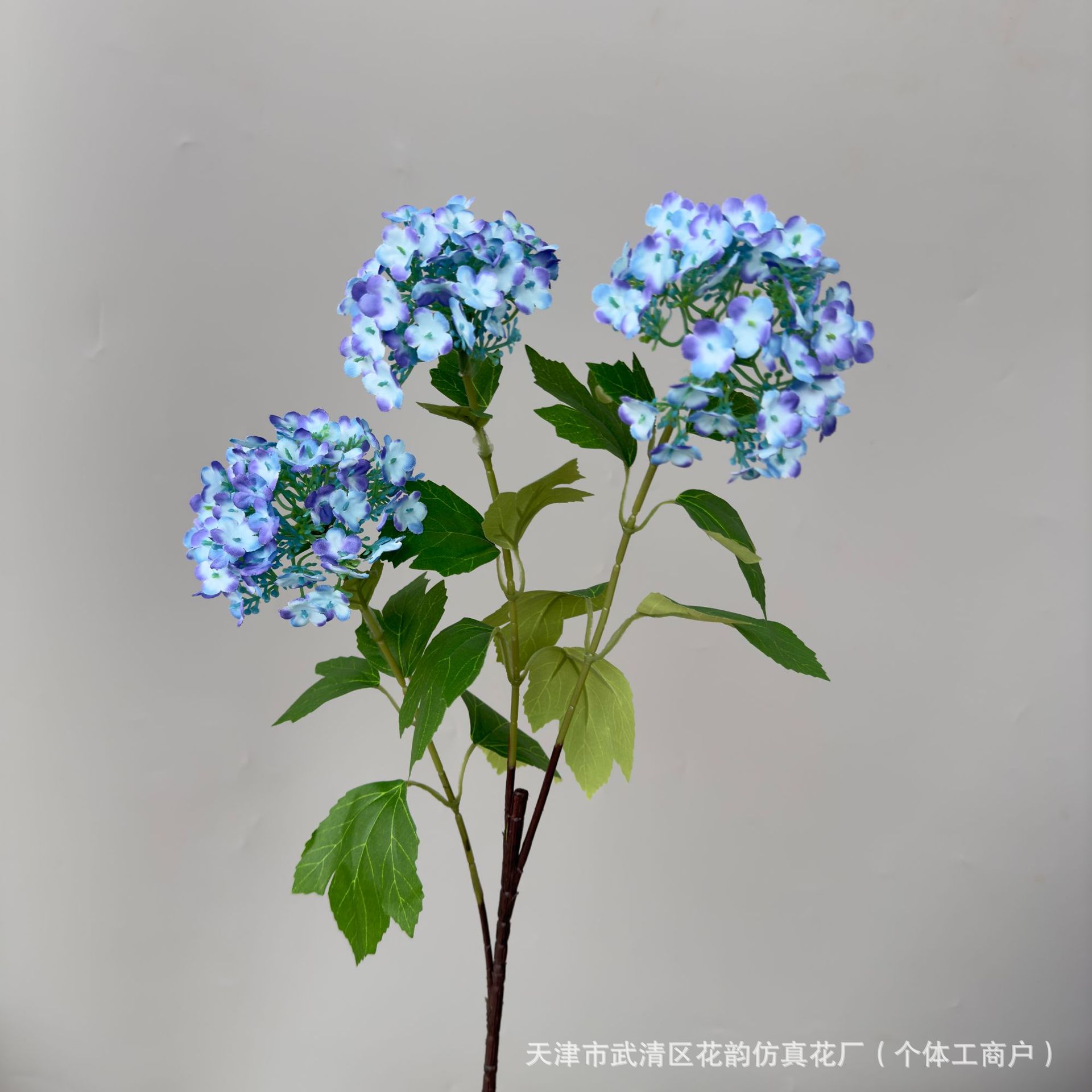 로얄 블루
