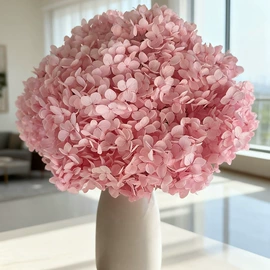 永生花;鲜花花艺制品;干花