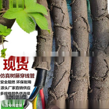 ���ϸɘ�֦늾����@��ľ���ٗl�bܷ�Ƥ������Ę��ٴ�����