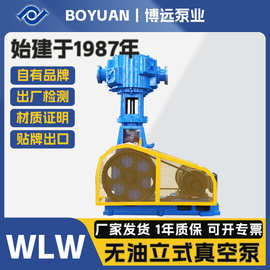 博远泵业WLW无油立式真空泵2.0×10 Pa高真空低噪环保干式往复泵