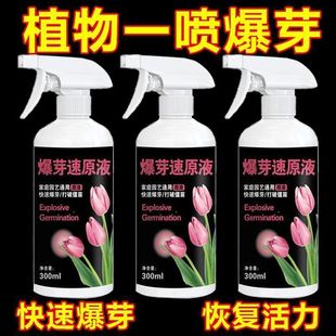 Plant Germination Hormone Liquid Multi-Germination Promotion Germination Differentiation Flower Arrangement Plant Succulent Green Plant Flower Powerful Universal Type