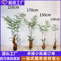 軟装造景設計シミュレーション偽樹猿頭シダ室内植物バイオニクス緑植金糸庭装飾鉢植え