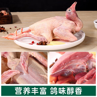 �����������r�V�|�r��ɢ�B�����Ӽ�ɢ�B�����������r���������