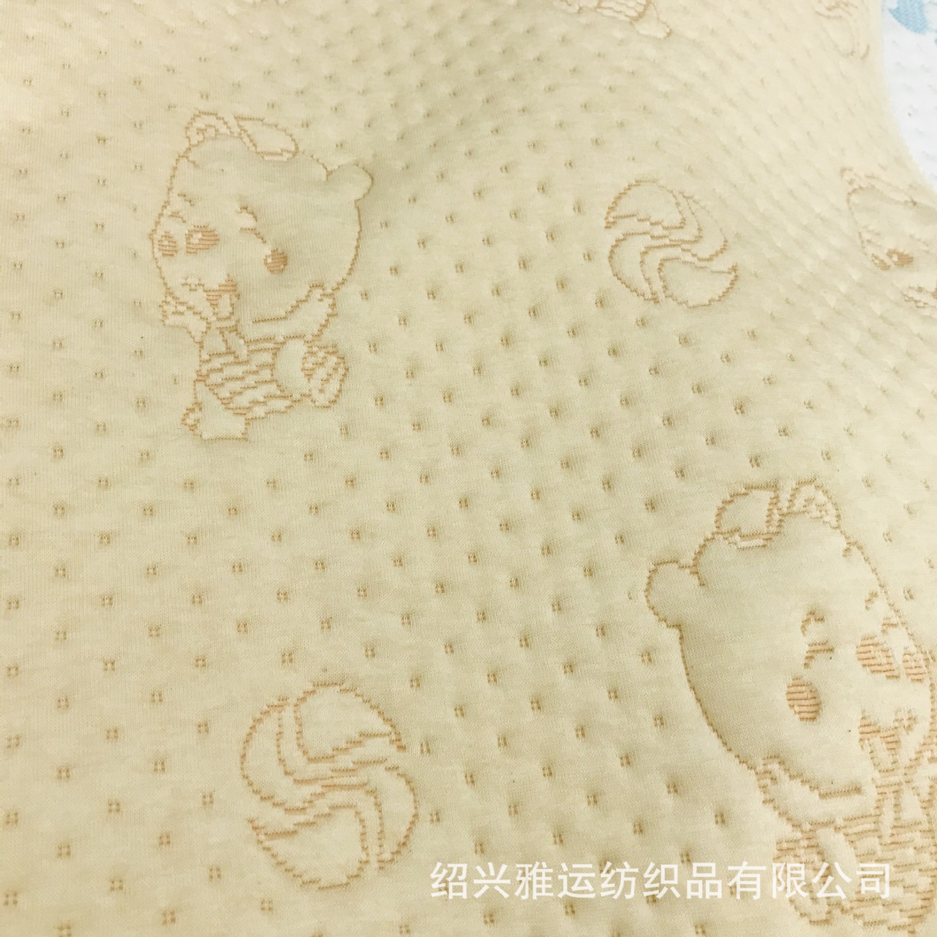 IMG_4713(20210328-120050)