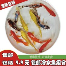 �t�ݽ��~����~���~��ˮ�^�p�~��ˮ���B���P�\���m�۽��~���w��ؔ