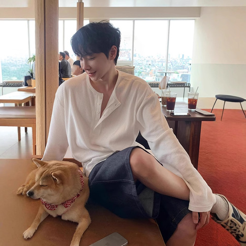 Men's High-End Honeycomb Henley Collared Striped Long-Sleeve T-Shirt Spring and Autumn Season Korean Style Casual Loose Solid Color T-Shirt