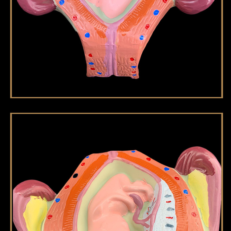 O1CN01kBizk22Kk6XolWjDh_!!3578