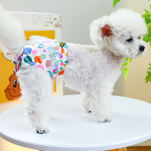 Pet dog menstrual pants, cute skirt lace pants, Teddy sanitary pants, small dog menstrual pants, puppy menstrual pants