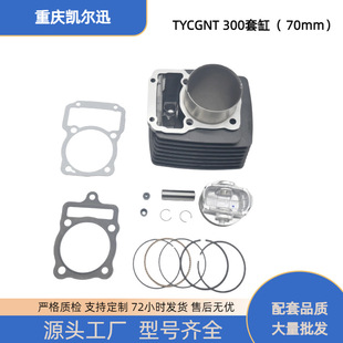 Ħ��܇����m�����|CG300���� TYCGNT300�׸� ��׻����׼��|Ƭ