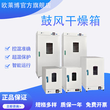 上海精宏DHG-9070A電熱恆溫烘箱食品高校實驗室干燥機 鼓風干燥箱
