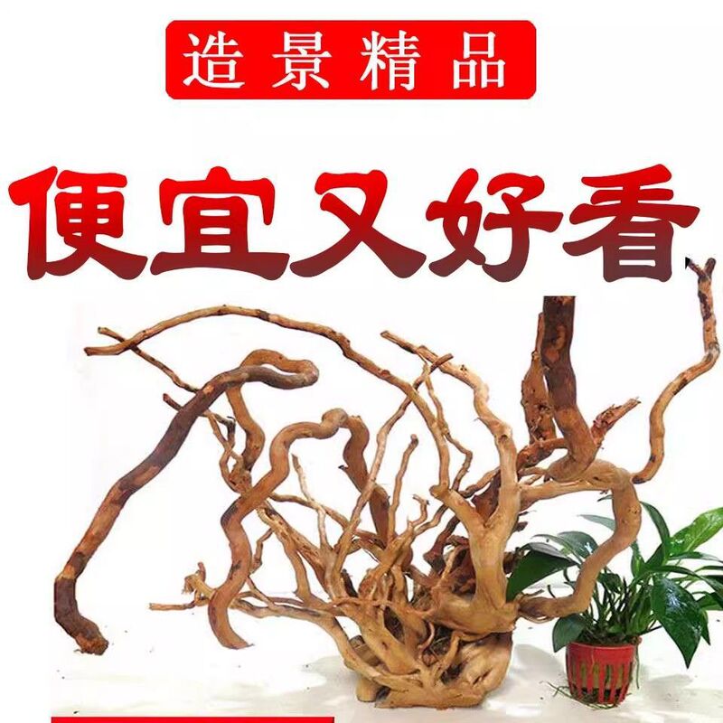 成品杜鹃木枝条鱼缸莫斯树枝一整套寄居蟹攀爬摆件沉木造景木爬宠|undefined