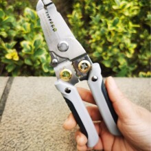 P䓄Q๦늹I|Q־ྀӾQ̼